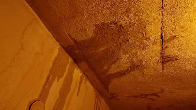 Water damage on a textured ceiling with visible cracks and drips