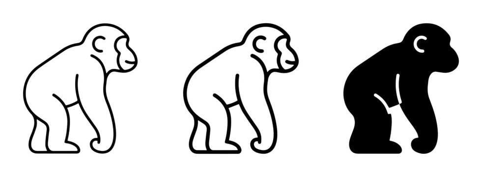 3 Monkey icons, primate animal, ape creature, outline solid styles, UI and web interface design