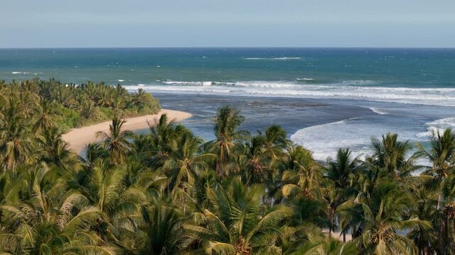Aerial view of lush palm tree forest bordering a sandy beach and the blue ocean with rolling waves in Indonesia.