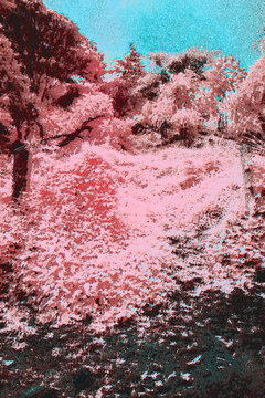 old half tone poster of inflrared leafs