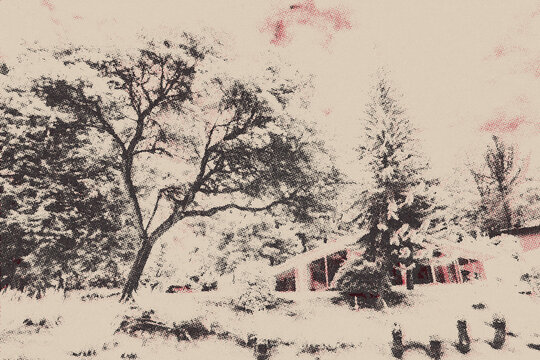old half tone poster  winter landscape with trees and house