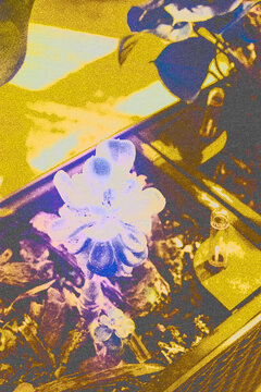old half tone poster abstract grunge background with flowers