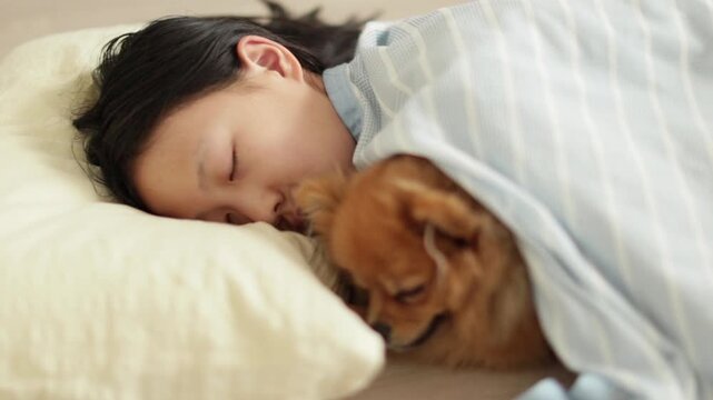 夏の家のリビングで熟睡している十代の女の子の子供と可愛いポメラニアンの子犬の姿