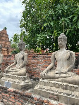buddha statue in thailand
