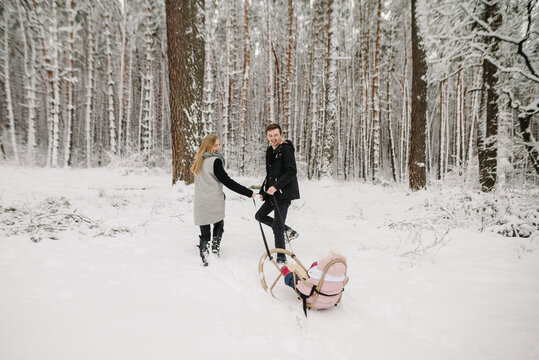 Parents cheerfully pulling a sled with their baby through a snowy forest, family winter walk. Back view.