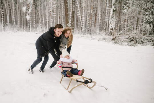 A father and a mother cheerfully pushing a sled with their small child through a snowy forest during a family winter walk. Closeup.