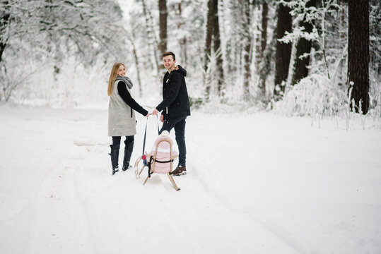 Happy parents pulling little daughter on sled through snowy forest. Family enjoying joint winter walk, dad, mom smiling. Joyful winter holidays, idyll outdoors. Back view.