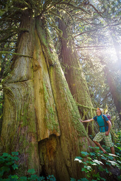 Hike in the forest