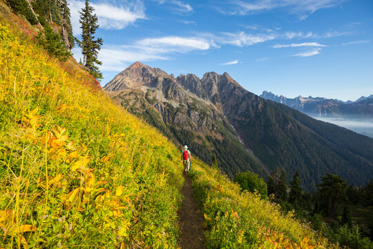 Summer hike