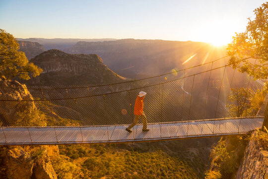 Suspension bridge