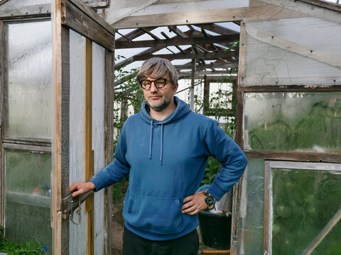 Man stands in wooden greenhouse with glass panels. He wears blue hoodie and glasses and he is in his 40s or 50s with grey beard and hair. Hands on hips, looks at camera. Growing organic produce.