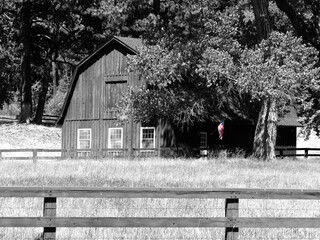 A barn in a field of grass © robjoeball
