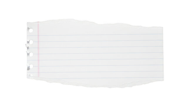 Torn piece of lined notebook paper with spiral holes isolated on transparent background