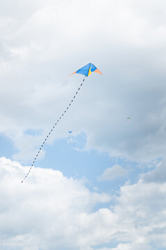 Kites flying in the sky on a cloudy day