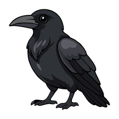 Fototapeta premium crow on a white background