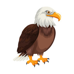 Fototapeta premium bald eagle isolated on white