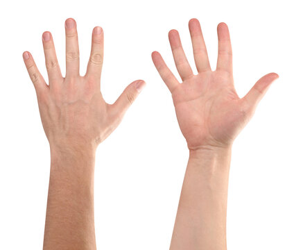 Set of open male hands showing front and back palms, isolated on transparent cutout background