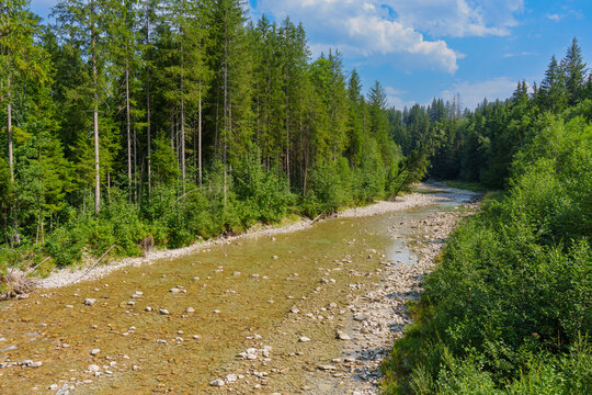 Scenic Ammer River Flowing Through the Lush Ammer Gorge in Bavaria