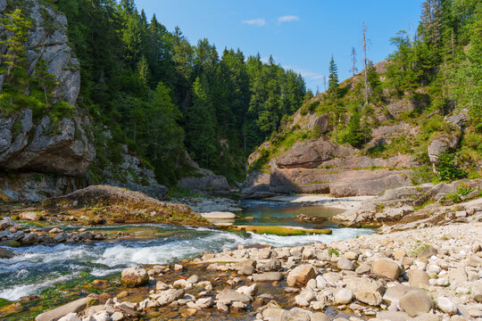 Rushing Water of the Ammer Gorge in Bavaria with Surrounding Forest