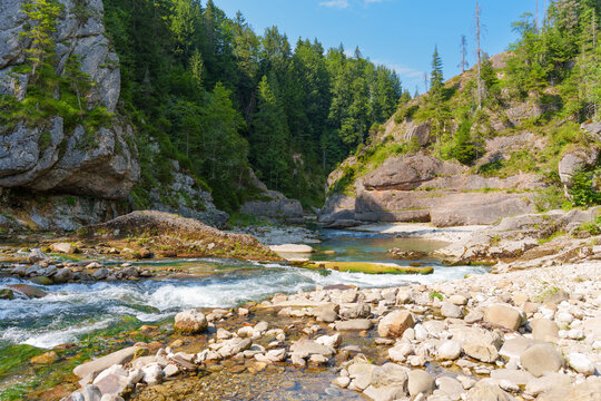 Wild River Flowing Through the Scenic Ammer Gorge in Bavaria Germany
