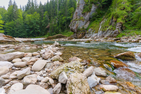 Wild Ammer Gorge River Flowing Through Rocky Bavarian Alpine Forest