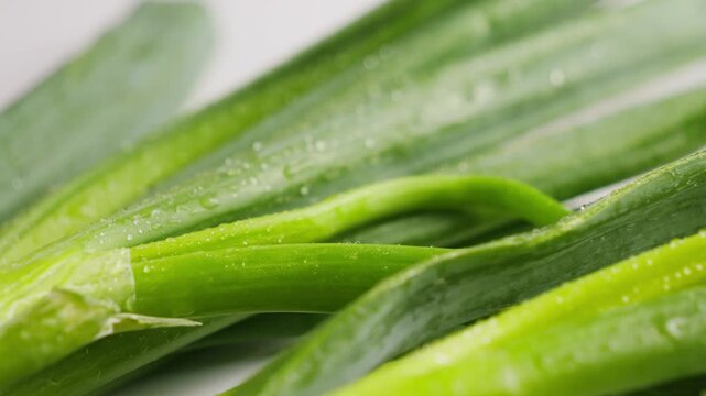 Fresh green onions with water droplets on white background. Healthy organic vegetables close-up. High quality 4k footage