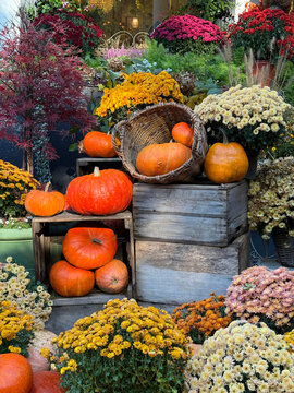 Autumn decor with pumpkins and garden mums vertical.