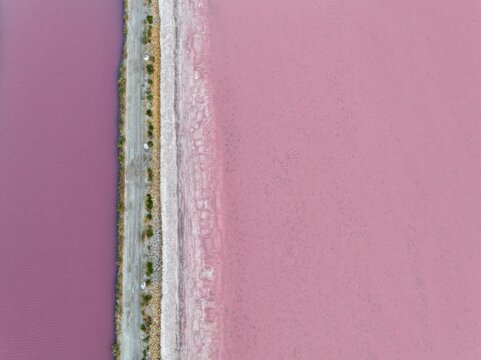 Camargues