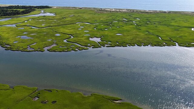 Narrow channels meander through an extensive salt marsh in Pleasant Bay, Cape Cod. Marshes provide critical habitat for many birds, fish, and marine invertebrates to feed, mate, and nest.