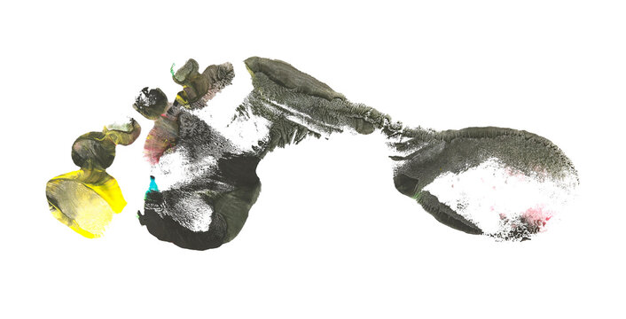Colorful footprint isolated on white, clipping path