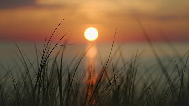 Serene ocean sunset with glowing sun and coastal grass silhouette in warm orange light