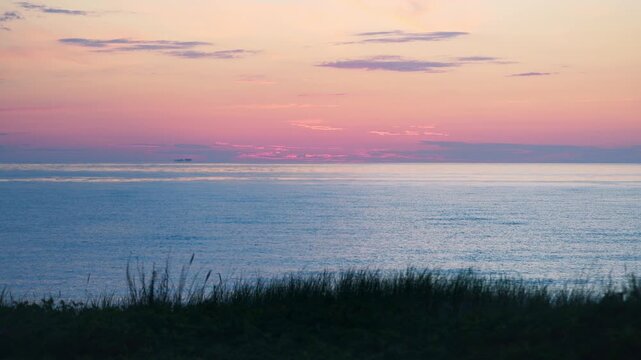 Tranquil ocean sunset with pink and purple sky over calm water and silhouetted shoreline grass