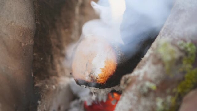 Bubbling sap glowing over ember bonfire smoke rising close nature