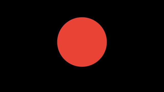 Error fail shake icon animation on white background