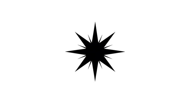 A stylized black starburst or asterisk symbol on a white background