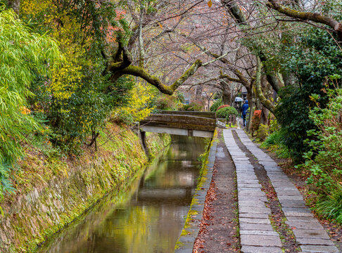 Philosopher's Walk in autumn, Kyoto, Japan