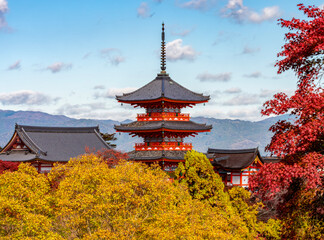 Naklejka premium Kiyomizu-dera temple and gardens in autumn, Kyoto, Japan