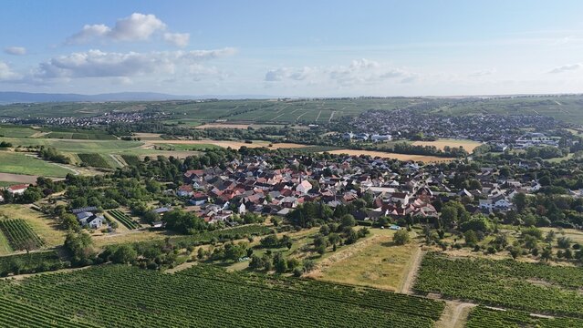 Bubenheim in Rheinhessen