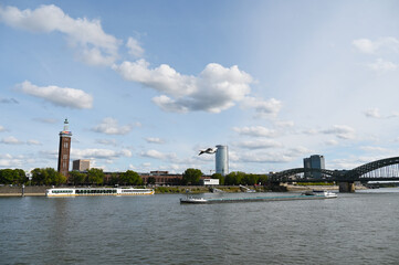 Fototapeta premium Köln, Rhein, ehemaliger Messeturm, RTL-Studios, Triangel-Hochhaus, Hohenzollernbrücke, Binnenschiff, Kreuzfahrtschiff