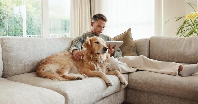 Tablet, calm and man with dog on sofa in home for research on pet adoption, foster care or wellness. Relax, digital technology and person reading blog on app for animal health in house with puppy.