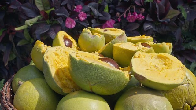 Fresh Whole and Sliced Peruvian Lucuma Fruit in a White Bowl