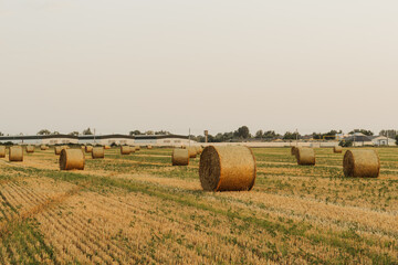 Rows of golden stubble lead toward a solitary hay bale, with more bales, a lone tree and farm buildings across a wide harvested field. © Ivanka