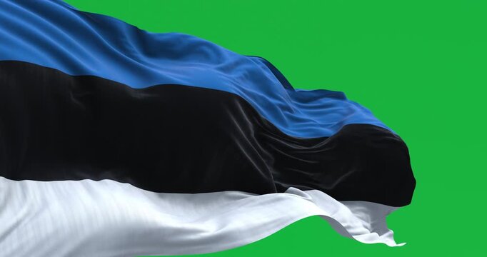 National flag of Estonia waving in the wind isolated on green background.