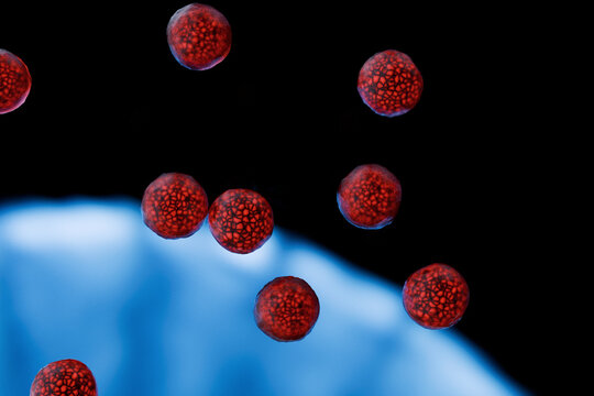 Stylized 3D visualization of Cyclospora cayetanensis oocysts, a foodborne parasite. Illustrates the cause of cyclosporiasis outbreaks with spherical reddish bodies above a cell surface.