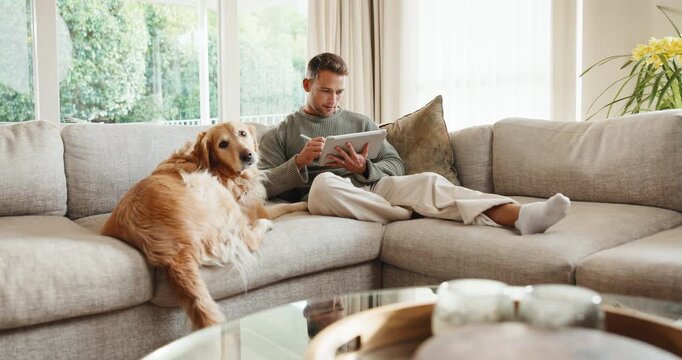 Tablet, reading and man with dog on sofa in home for research on pet adoption, foster care or wellness. Relax, digital technology and person on blog app for animal health in house with puppy.