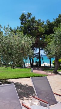 The terrace of a luxury island hotel overlooks the turquoise Aegean Sea, a green garden with olive trees, and a private beach in sunny Greece