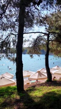 A beach with white umbrellas, seen from a shady, wooded shore overlooking a turquoise Aegean Sea in sunny Greece