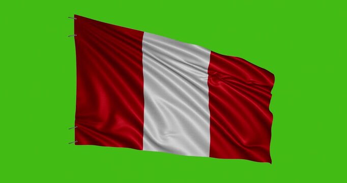 Waving flag of Peru against a green background shows national pride and identity