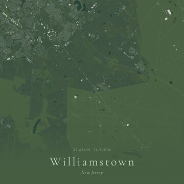 Sage Green Map of Williamstown, United States | Modern Scandinavian Wall Art