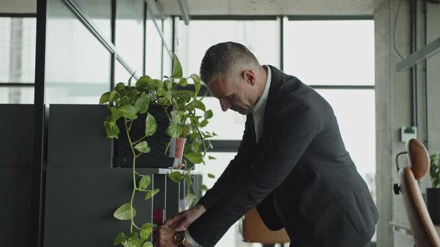 Businessman in suit look for notes, 4k. Mature businessman search in office. Business boss man. Business success. Successful business. Entrepreneur searching for notes. Office manager man